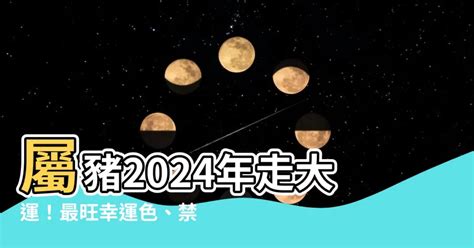 豬年幸運顏色|2024豬年開運色速查